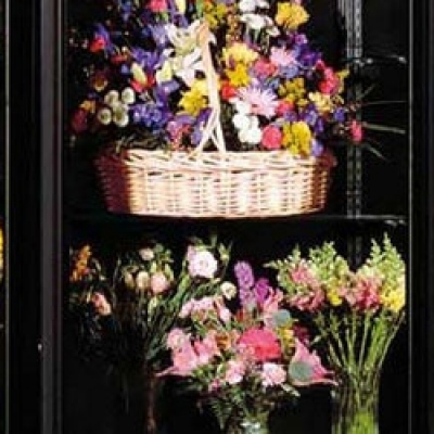 Vitrine vitrate Profesionale utilizari speciale  - Frigosztufi